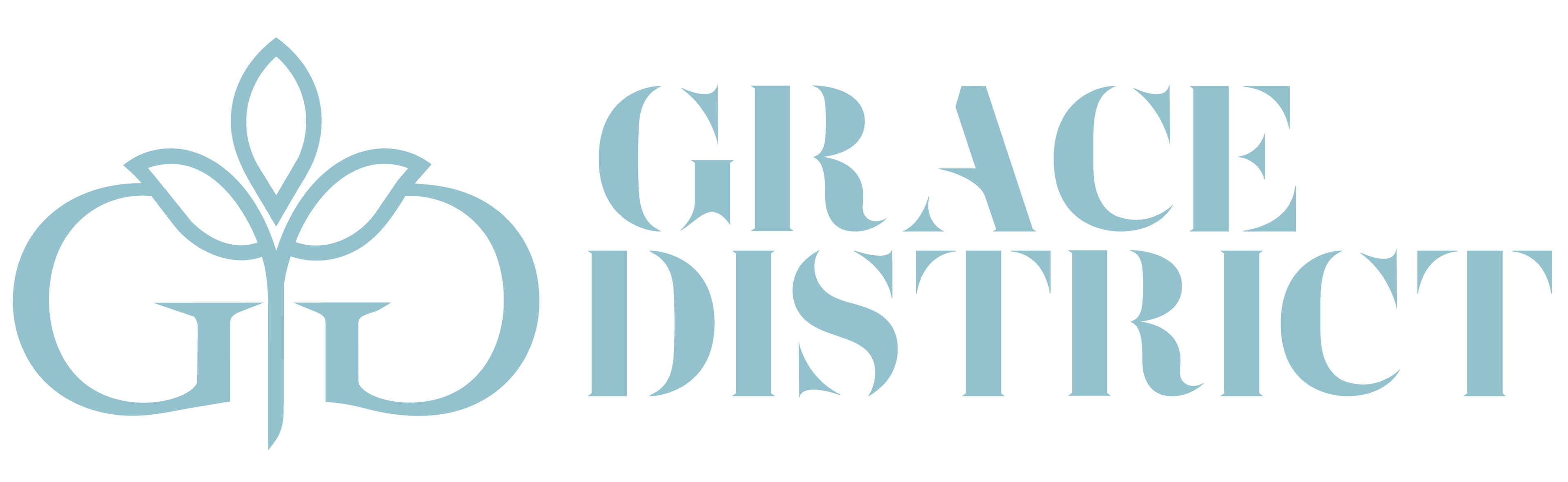 Grace District
